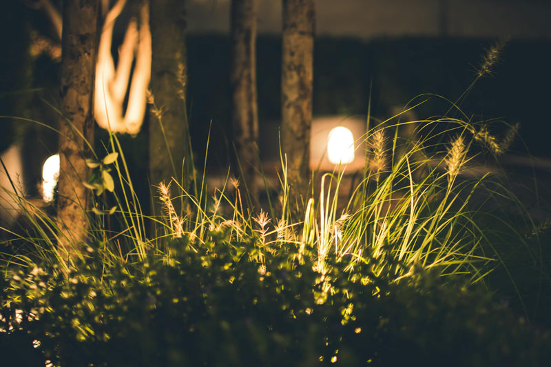 Gartendekoration